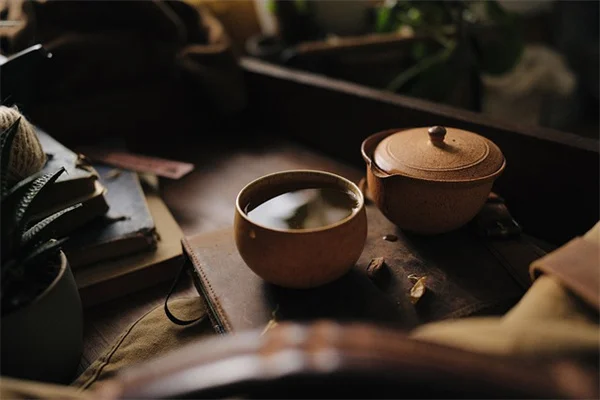 自然素材で作るアドベントリースDIY｜採集から長持ちのコツまでプロが教える