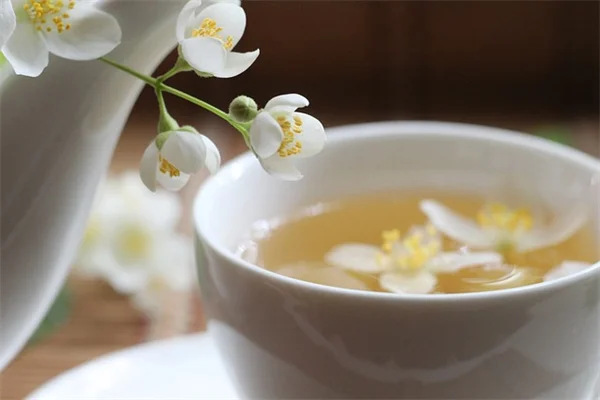 夏の暑さに強い花8選！花壇を復活させる救世主を紹介