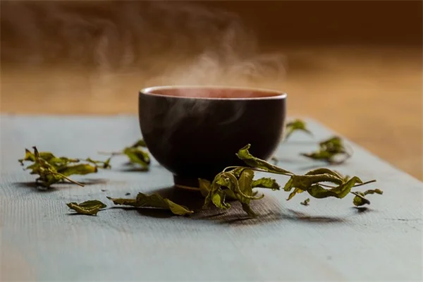 暖房で観葉植物が枯れる？たった1つの簡単なコツで冬を乗り切る方法