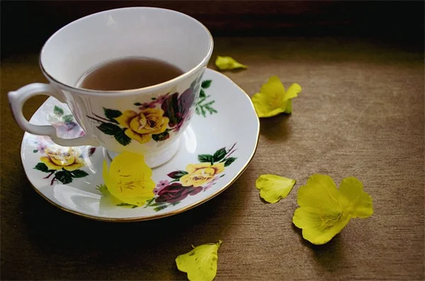 芝生がすぐ枯れるなら、在来種に変えてみよう！成功する5ステップ