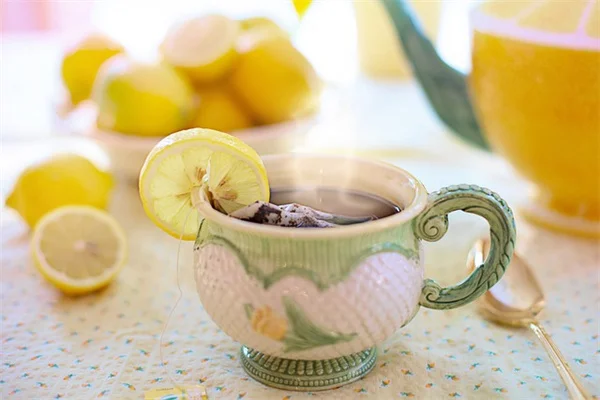 【実体験】福肯茶樹盆栽の育て方｜失敗しない剪定と冬越しのコツ